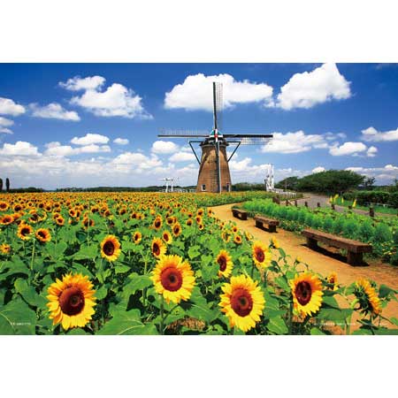 オランダ風車とヒマワリ（千葉）