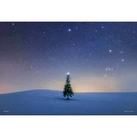 シリウスのツリー（北海道）