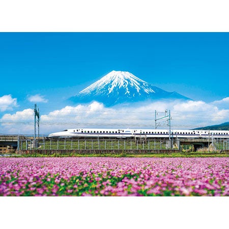 れんげの花と富士山（静岡）