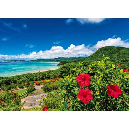 海とハイビスカス　夏の石垣島（沖縄）