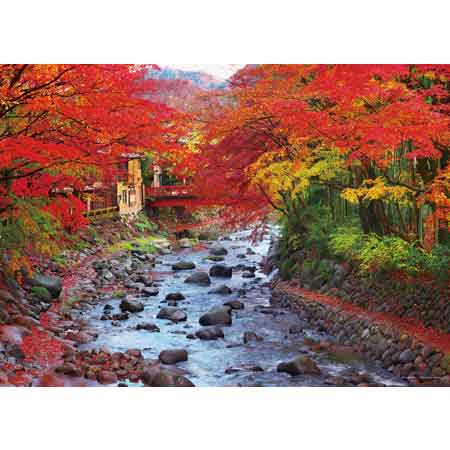 彩り深まる修善寺の桂川（静岡）