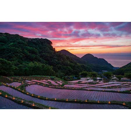 石部棚田のキャンドルナイト（静岡）