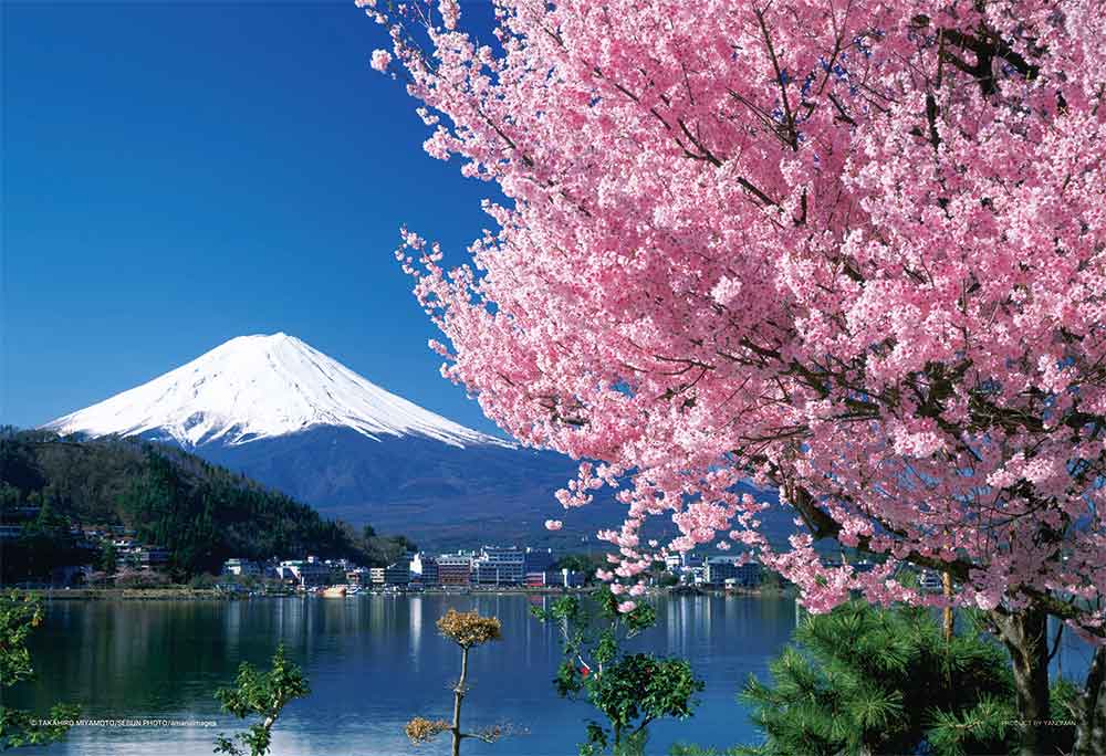 桜と富士（山梨）