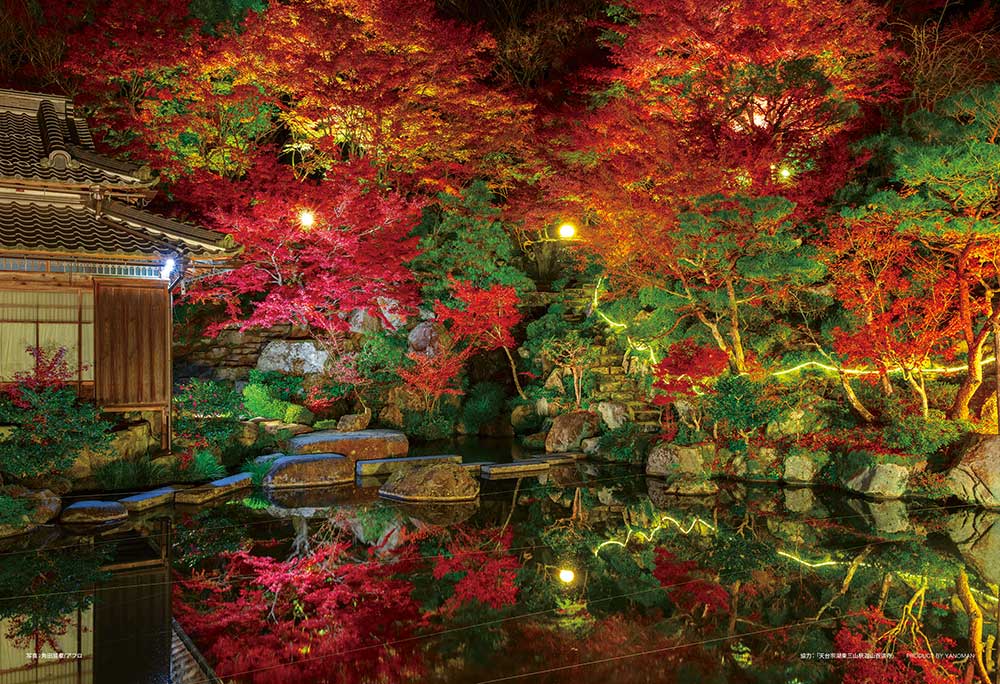 秋夜の百済寺庭園（滋賀）