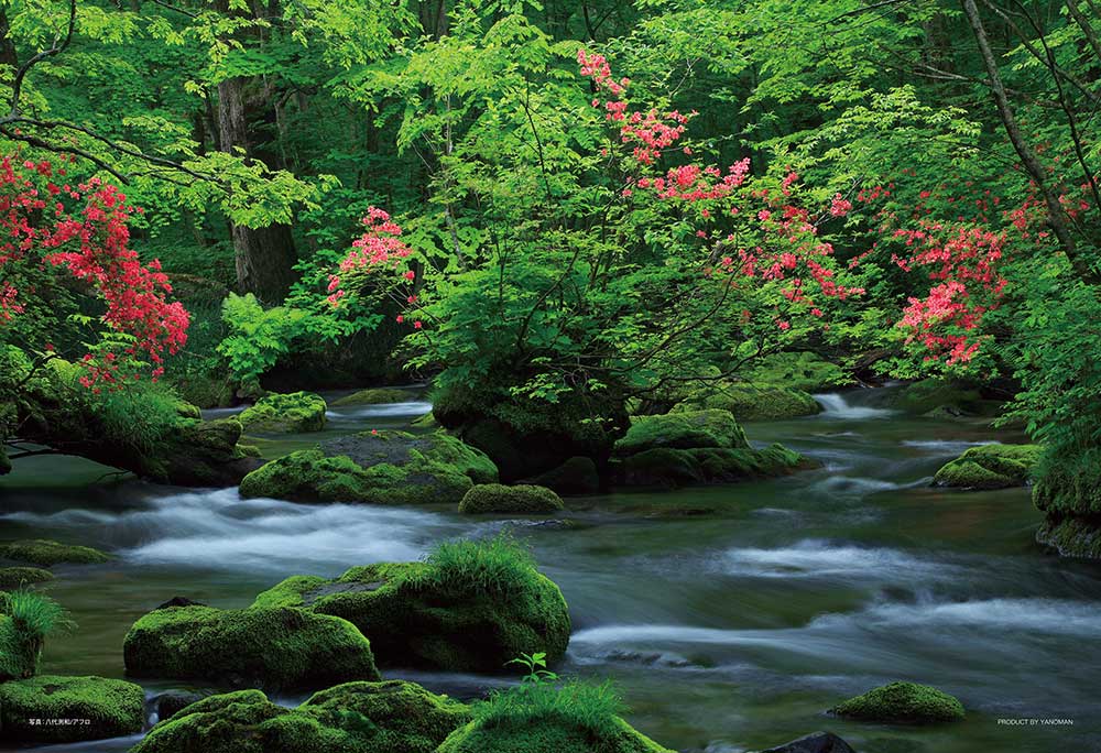 涼感を呼ぶ奥入瀬渓流（青森）