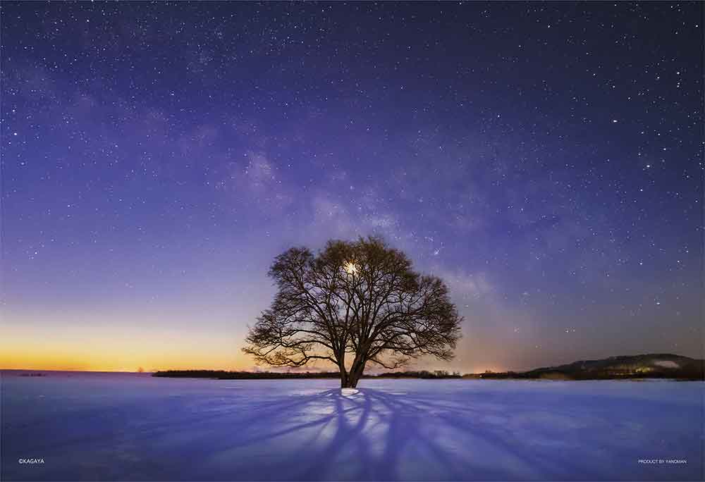 ハルニレの木と天の川（北海道）