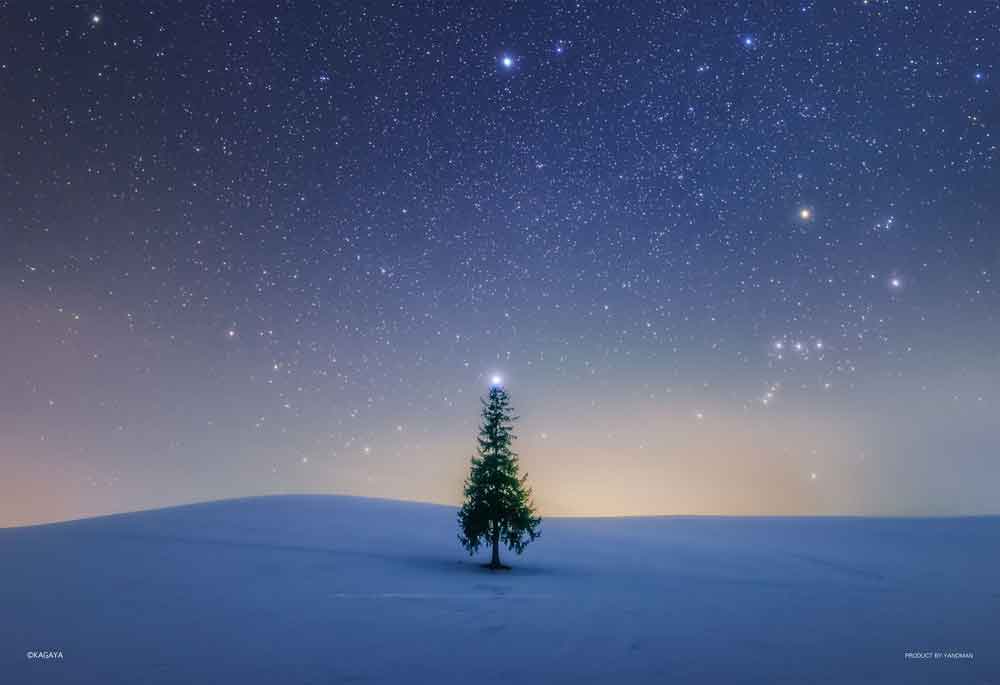 シリウスのツリー（北海道）