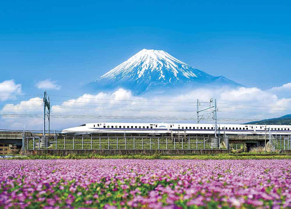れんげの花と富士山（静岡）