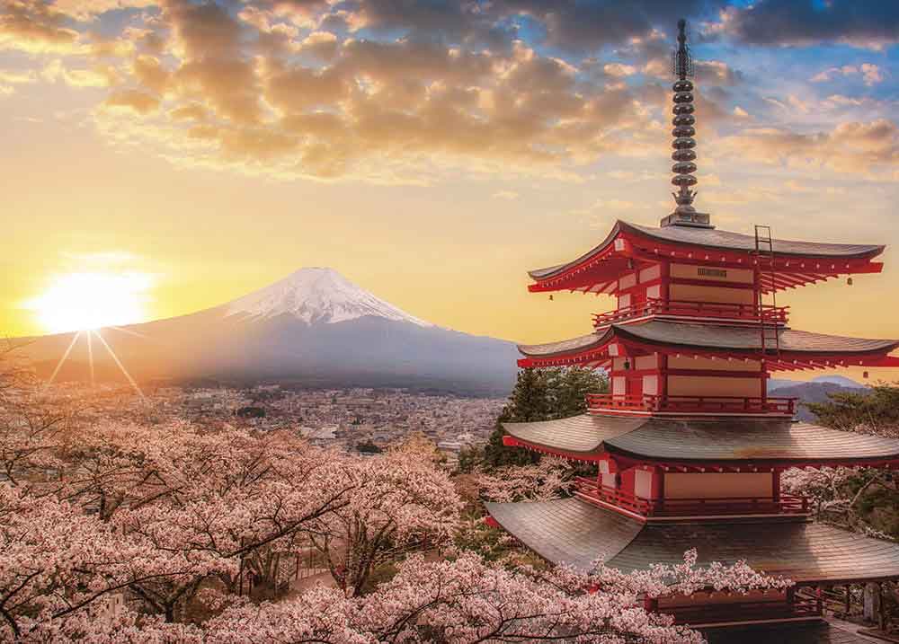 春暁の富士山と桜（山梨）