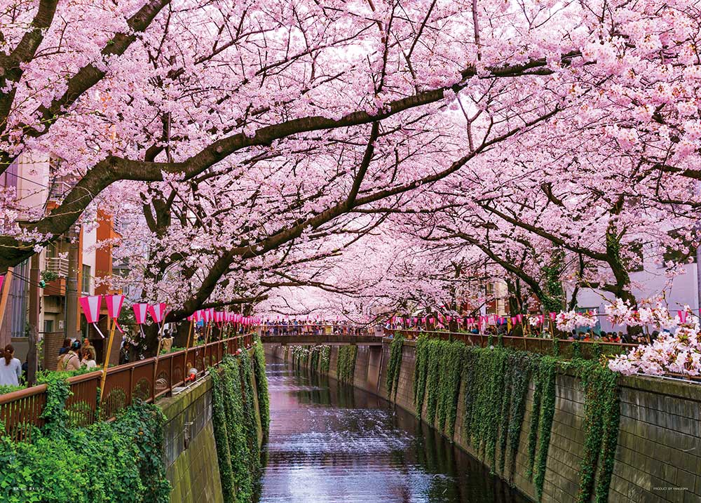 目黒川さくらまつり（東京）