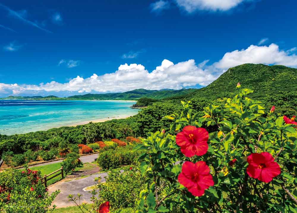 海とハイビスカス　夏の石垣島（沖縄）