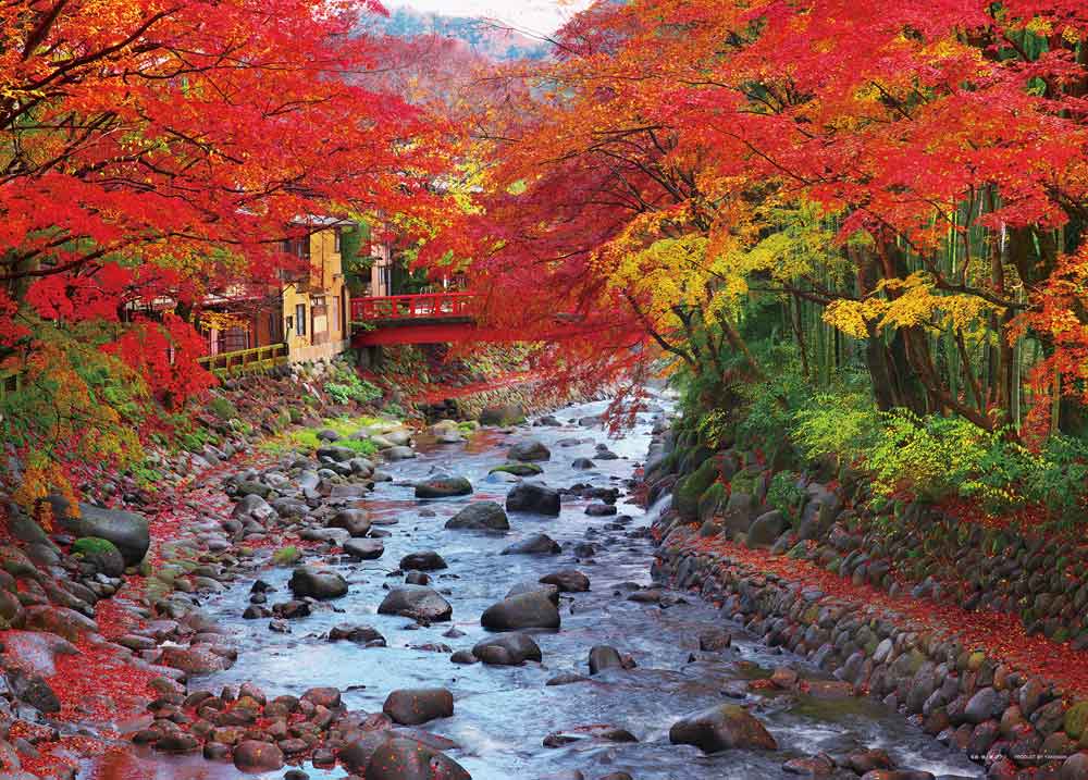彩り深まる修善寺の桂川（静岡）