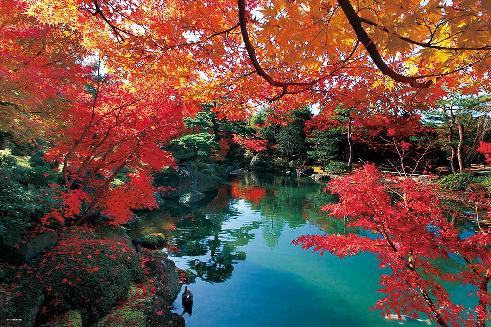 錦秋の由志園（島根）