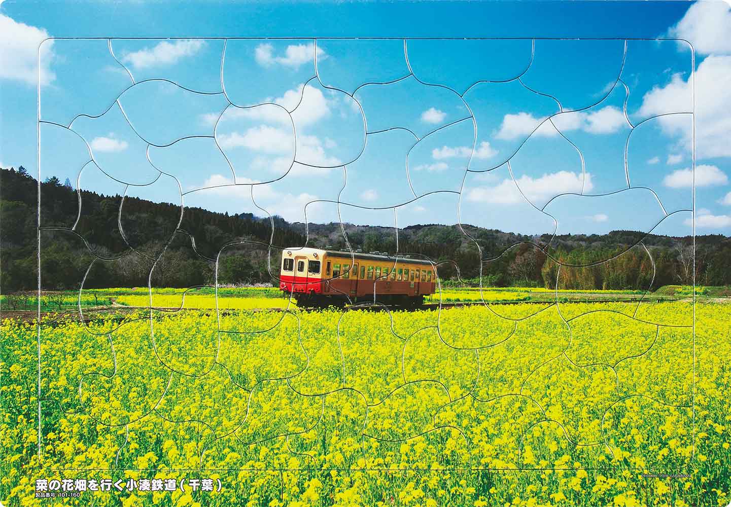 いきいきパズル　菜の花畑を行く小湊鉄道（千葉）【通販限定】