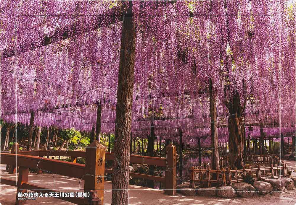 いきいきパズル　藤の花映える天王川公園（愛知）【通販限定】