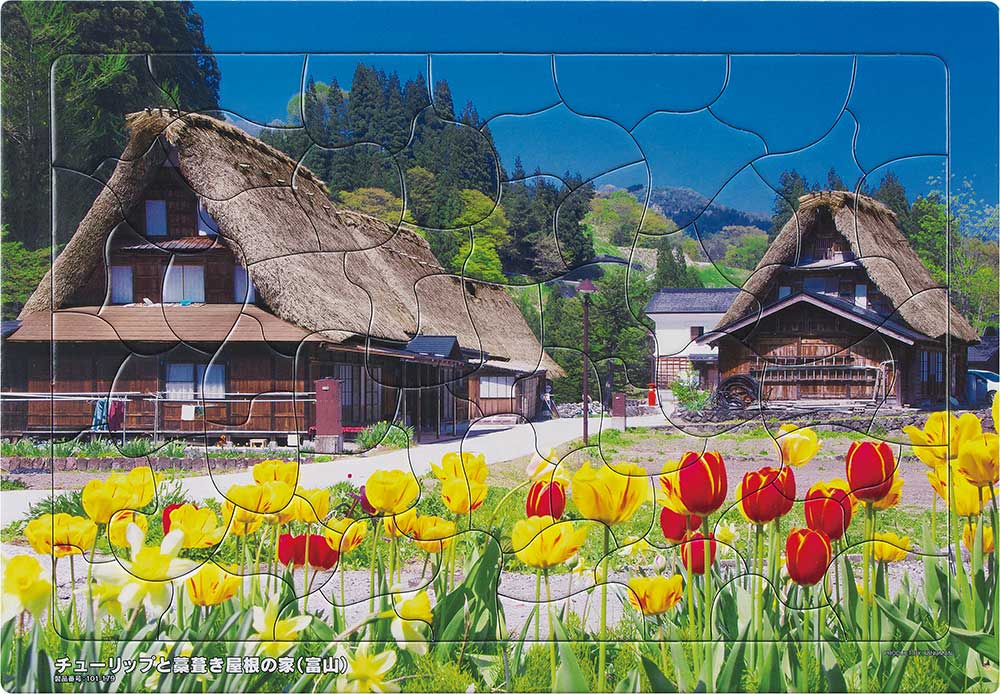 いきいきパズル　チューリップと藁葺き屋根の家（富山）【通販限定】