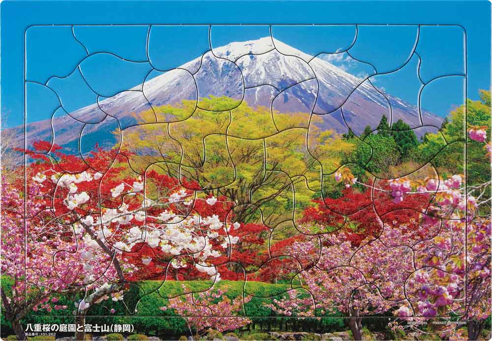 いきいきパズル　八重桜の庭園と富士山（静岡）【通販限定】