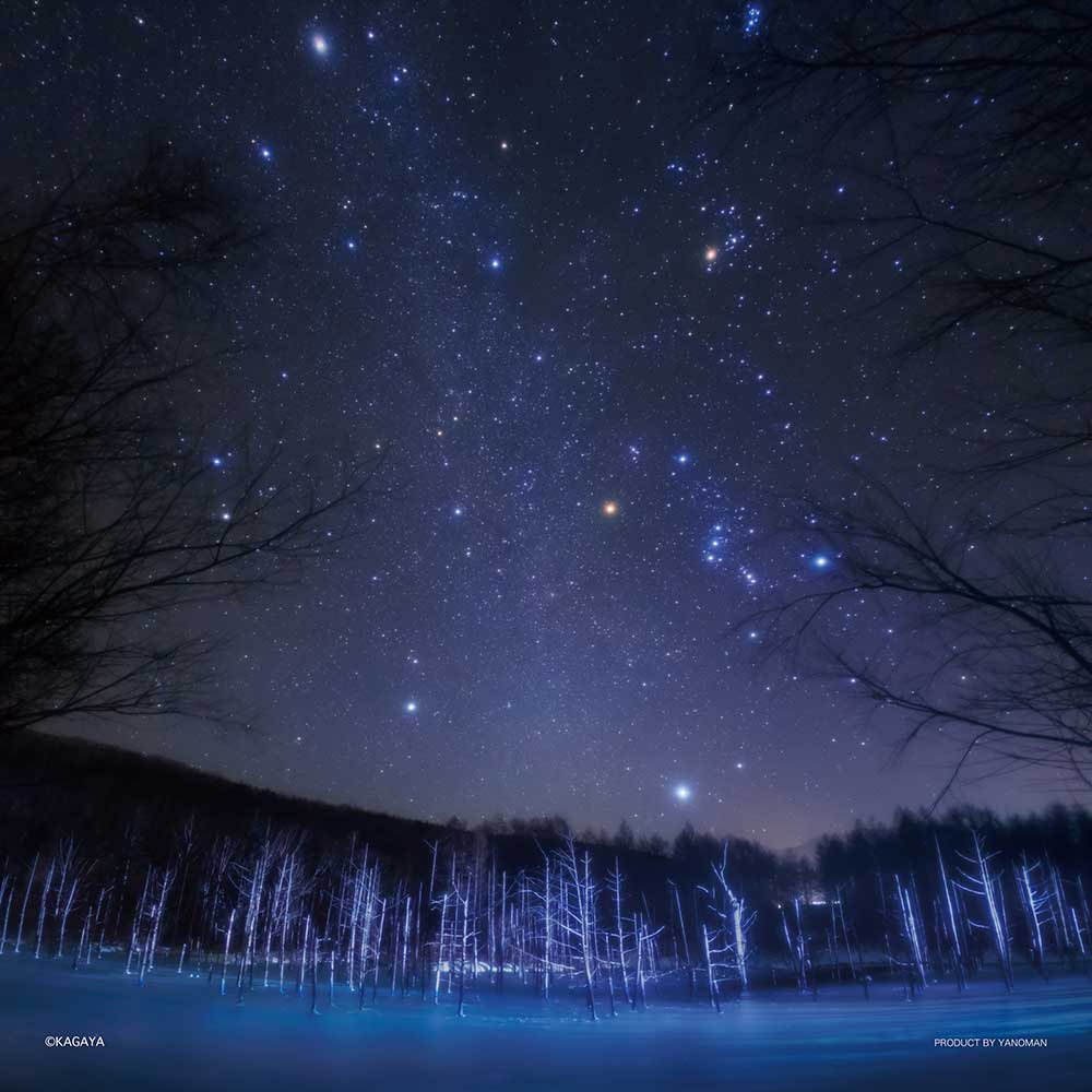 美瑛に降る星のダイヤモンド（北海道）