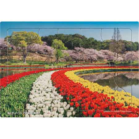 いきいきパズル　桜とチューリップの庭園（静岡）【通販限定】