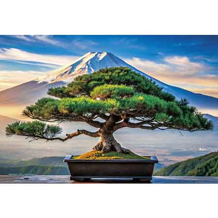 富士山と眺める盆栽