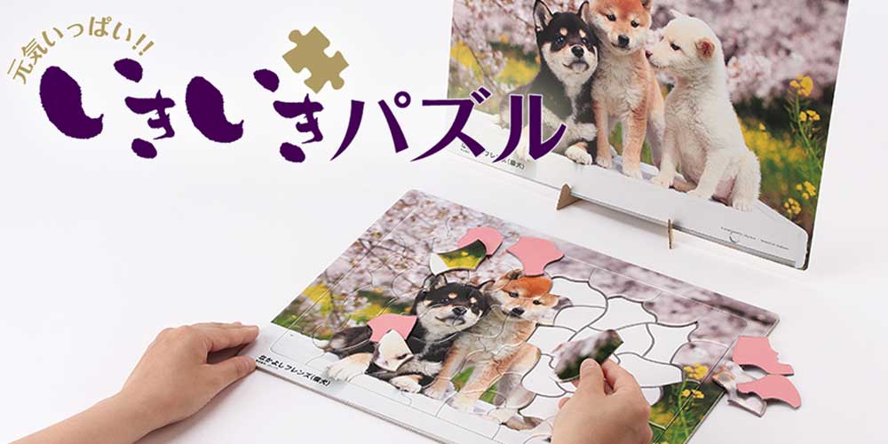 いきいきパズル