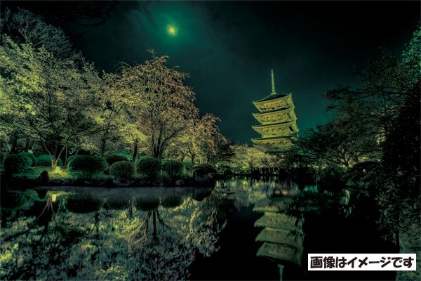 月夜に咲く(京都)光るイメージ