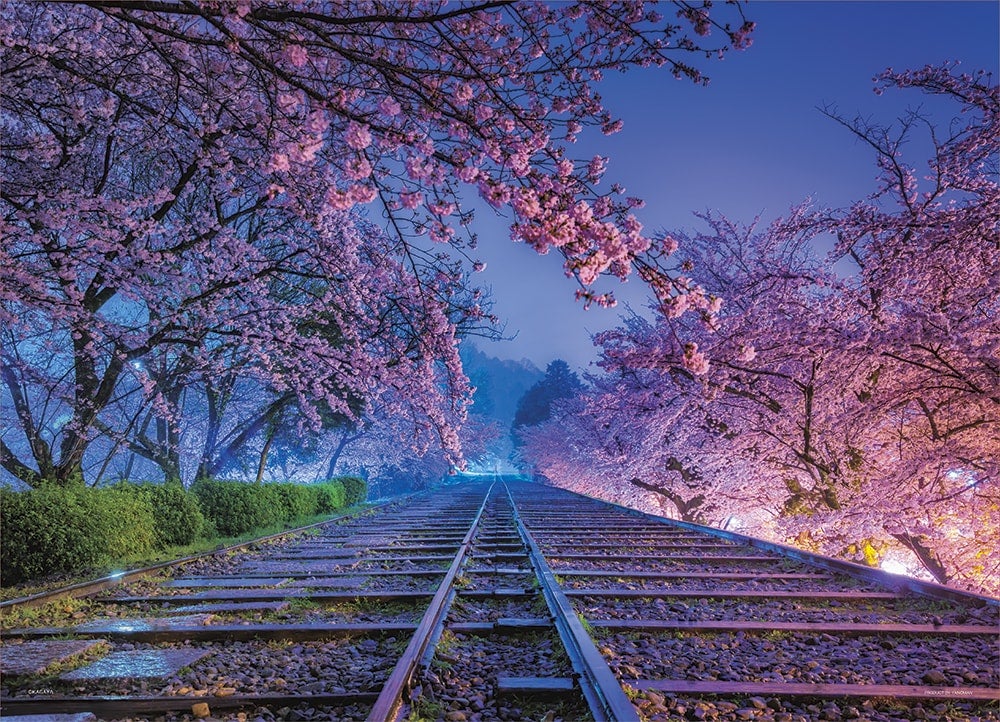 自然の奇跡 一瞬を捉えたkagayaの星空絶景写真 2018年11月発売 ジグソーパズルの楽しさ創造カンパニー株式会社やのまん 自然の奇跡 一瞬を捉えたkagayaの星空絶景写真 2018年11月発売 ジグソーパズルの楽しさ創造カンパニー株式会社やのまん