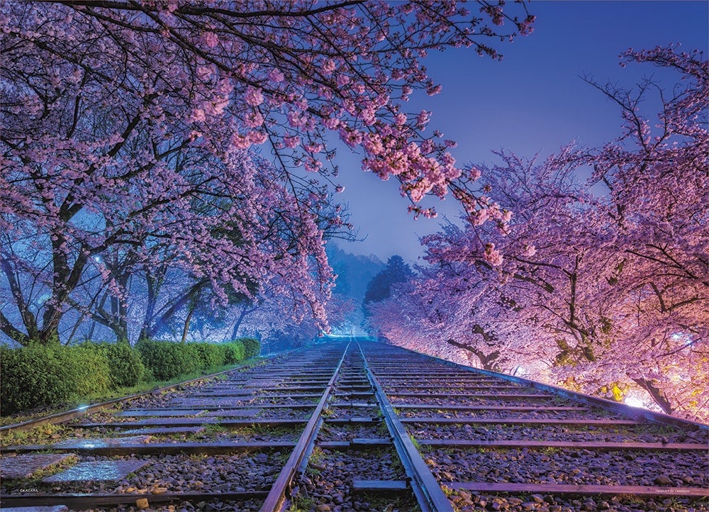 自然の奇跡 一瞬を捉えたkagayaの星空絶景写真 ２０１８年１１月発売 ジグソーパズルの楽しさ創造カンパニー株式会社やのまん